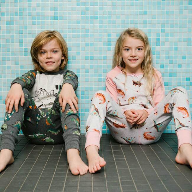 Organic Cotton Two Piece Pajama Set Dark Grey Mix, Dark Grey Mix Dino Print - Pajamas - 2
