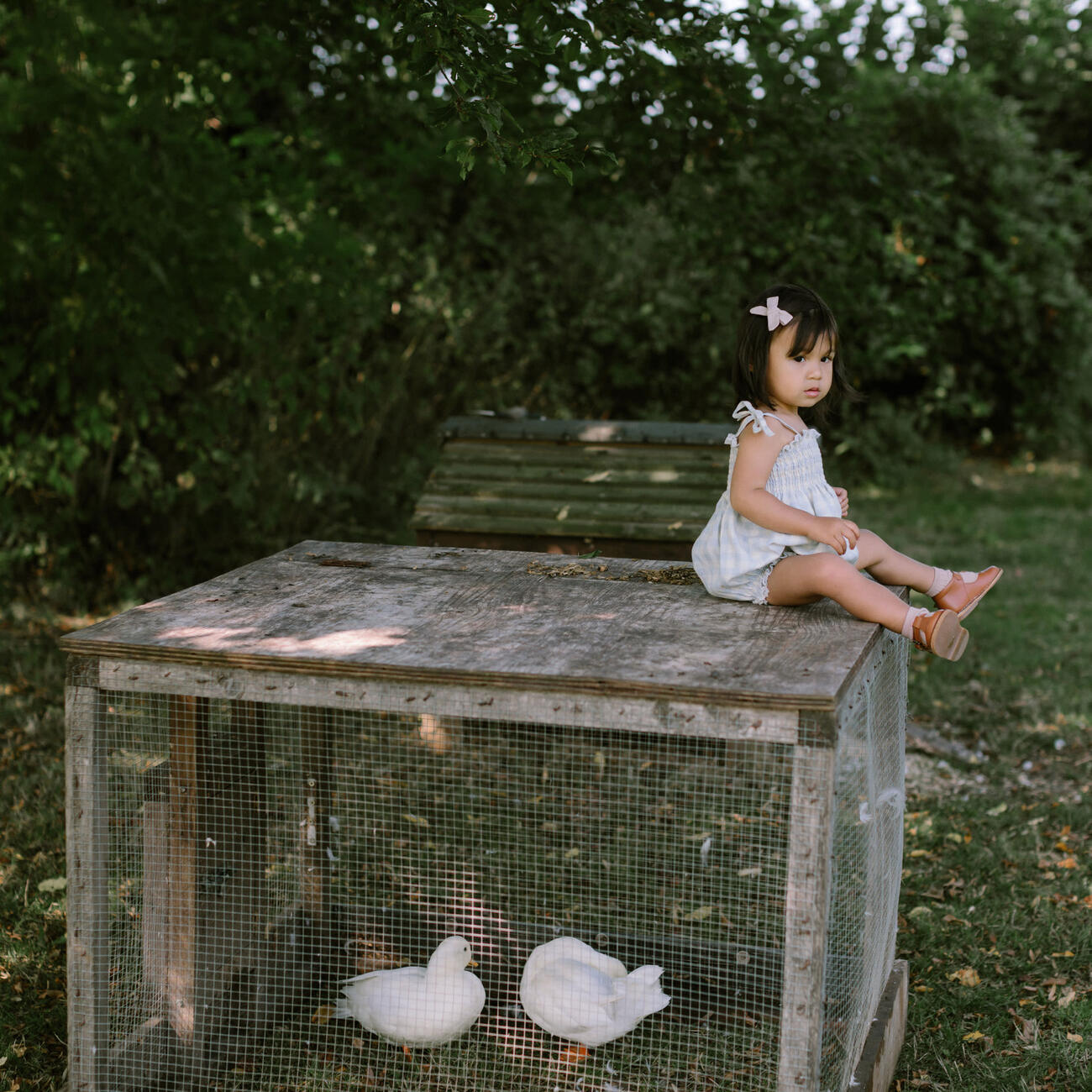 Dominos Romper, Powder Blue Check Linen - Nellie Quats