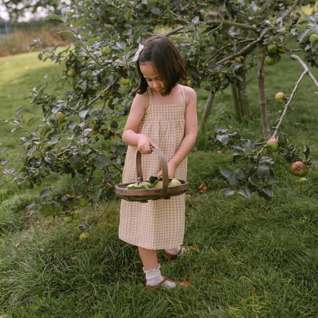Daisy Chain Dress, Hay Check Linen - Dresses - 2