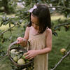 Daisy Chain Dress, Hay Check Linen - Dresses - 4