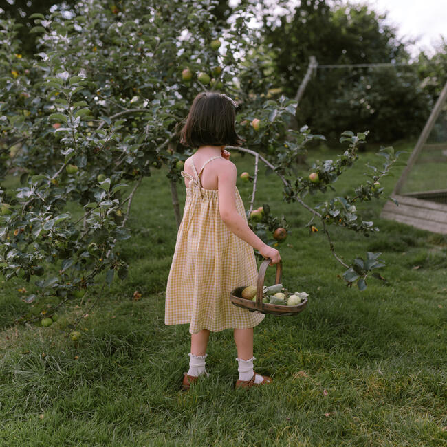 Daisy Chain Dress, Hay Check Linen - Dresses - 5