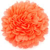 Auset Hairclip, Orange - Hair Accessories - 1 - thumbnail