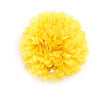 Auset Hairclip, Yellow - Hair Accessories - 1 - thumbnail