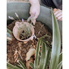 Seedling Pot with Spade Dusty Rose - Outdoor Games - 5 - thumbnail