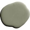 Saged Paint, Muted Olive Green - Paint - 1 - thumbnail