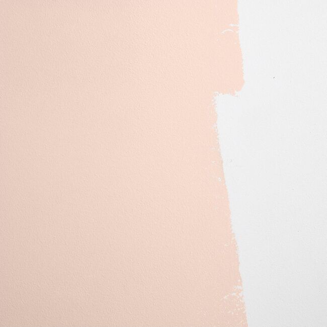 Modern Love Paint, Warm Muted Pink - Paint - 3