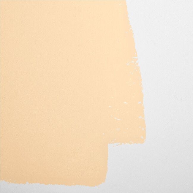 Earthly Delights Paint, Light Peach - Paint - 3