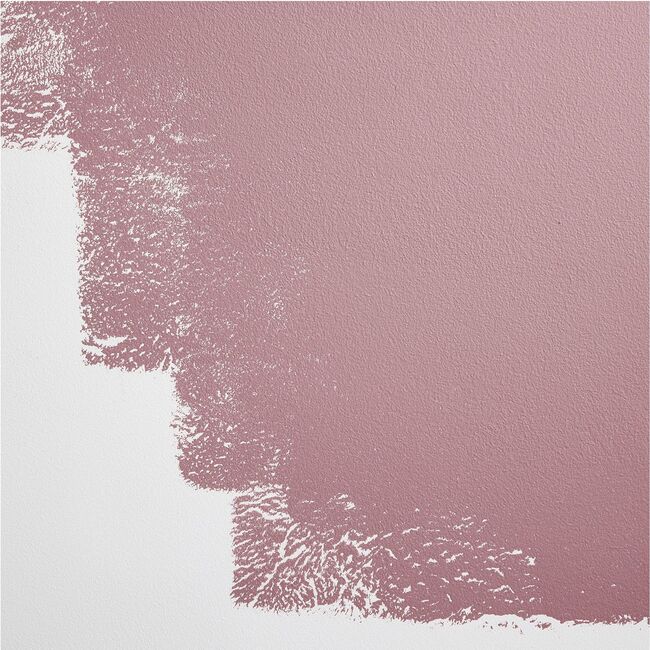 Jawbreaker Paint, Rosy Mauve - Paint - 3