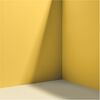 Pablo Honey, Warm Bright Yellow - Paint - 4