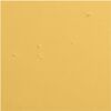 Pablo Honey, Warm Bright Yellow - Paint - 6