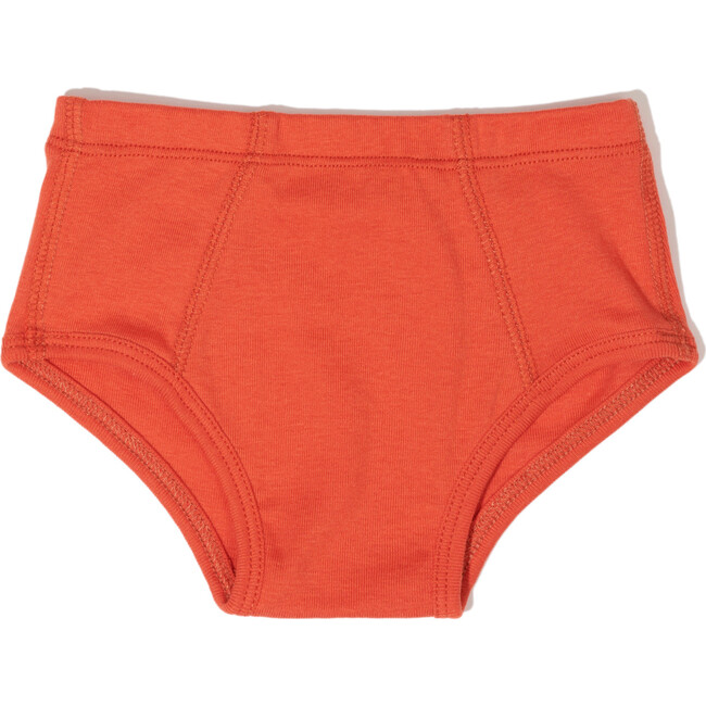 Kids Brief Underwear 3 Pack, Clay/Bumble/Cloud - Underwear - 3