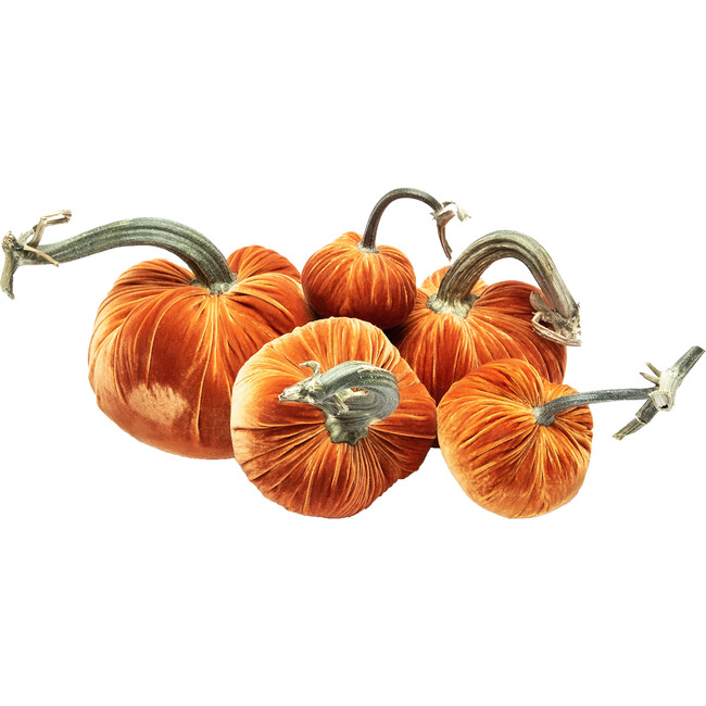 Exclusive Pumpkin Set, Persimmon