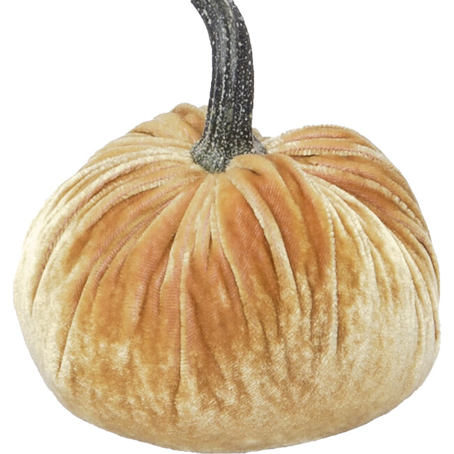 Pumpkin Creamed Corn - Accents - 1