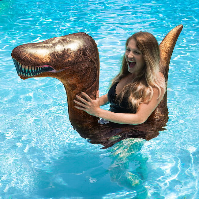 T-Rex Ride-On Noodle - Pool Floats - 2