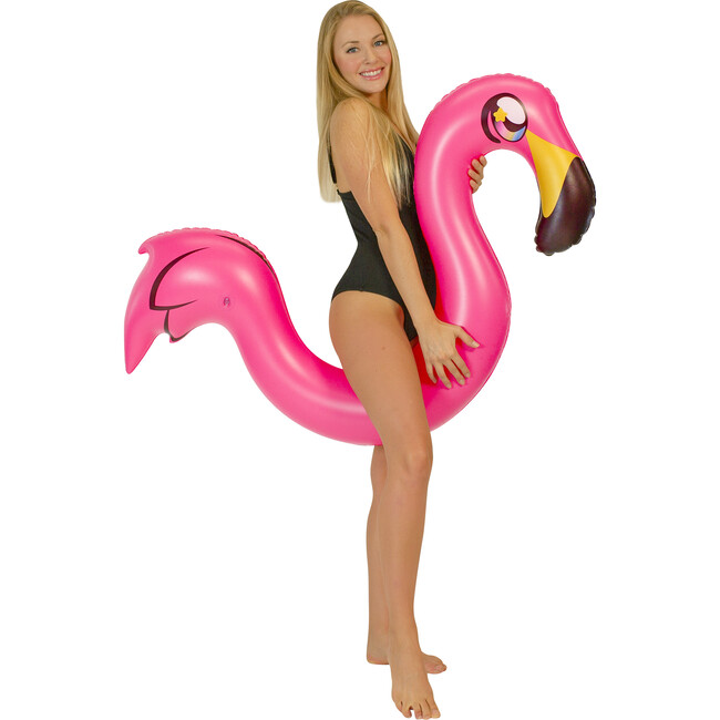 Flamingo Ride-On Noodle