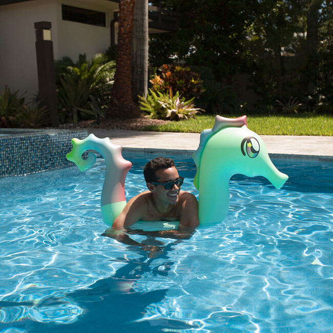 Seahorse Ride-On Pool Noodle