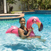 Flamingo Ride-On Noodle - Pool Floats - 2