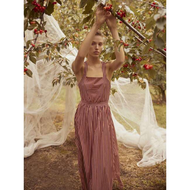 Women's Dahlia Dress, Mimosa Stripe - Dresses - 2