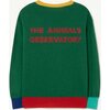 Bull Kids Sweater Green Rabbit - Sweaters - 3