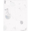 Build Your Own Universe 2, 8.5" x 11" - Art - 1 - thumbnail