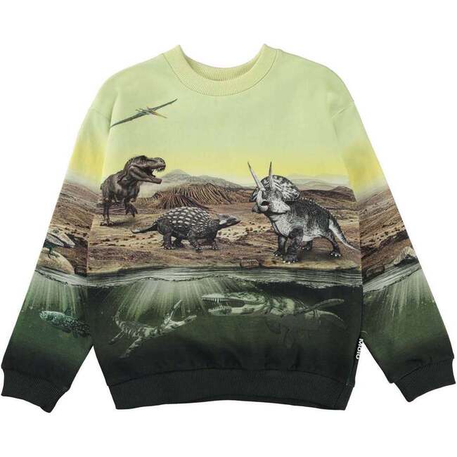 Dino Earth Sweatshirt, Green