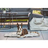 Strada Dog Travel Bed, Grey - Pet Beds - 4 - thumbnail