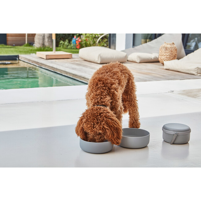Bento Dog Travel Bowl, Slate - Pet Bowls & Feeders - 3