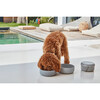 Bento Dog Travel Bowl, Slate - Pet Bowls & Feeders - 3