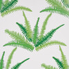Schumacher x CristIna Buckley Canyon Ferns Wallpaper, Jungle - Wallpaper - 1 - thumbnail