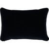 Schumacher x Johnson Hartig Jokhang Tiger Velvet Lumbar Pillow, Brown - Decorative Pillows - 2