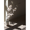 Levona Decorative Vase, Silver - Accents - 3