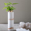 Levona Decorative Vase, Gold - Accents - 3
