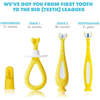 Grow-With-Me Training Toothbrush Set - Toothbrushes & Toothpastes - 5 - thumbnail