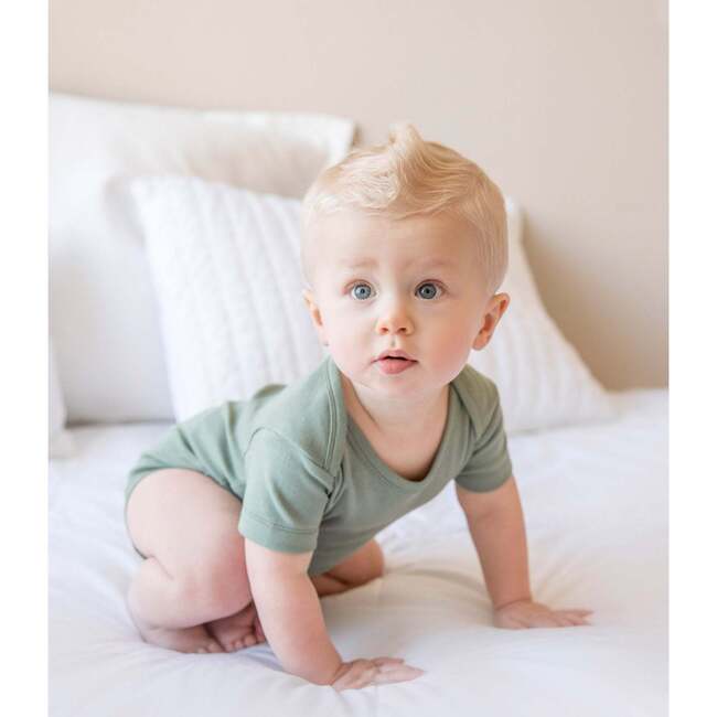 Classic Short Sleeve Bodysuit, Thyme - Onesies - 2