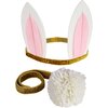 Bunny Dress-Up Kit - Costumes - 1 - thumbnail