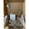 Wishes and Dreams Party Bundle - Party - 2