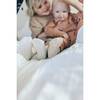 Cotton Socks, Shell - Socks - 3