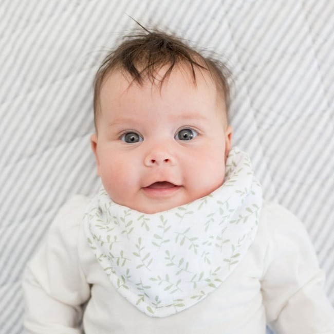 Bandana Bib, Daisy/Greenery (Pack of 2) - Bibs - 5