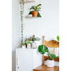The Shorty Locker, Chalk - Storage - 3