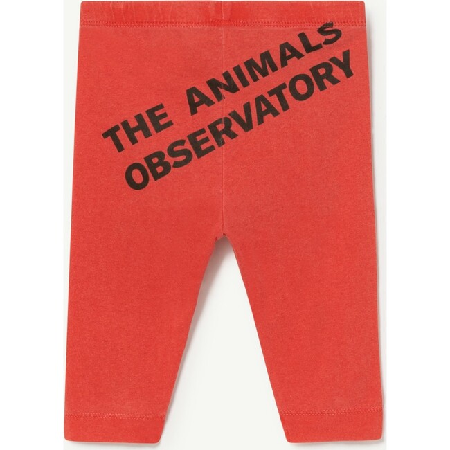 Penguin Baby Pant Red Logo - Pants - 2