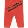 Penguin Baby Pant Red Logo - Pants - 2