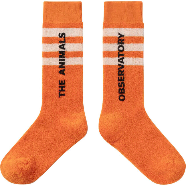 Skunk Kids Socks Orange The Animals