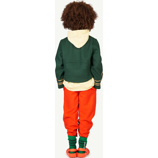 Skunk Kids Socks Green The Animals - Socks - 3