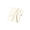 Color Block Ecru Napkin, Set of 4 - Tabletop - 2
