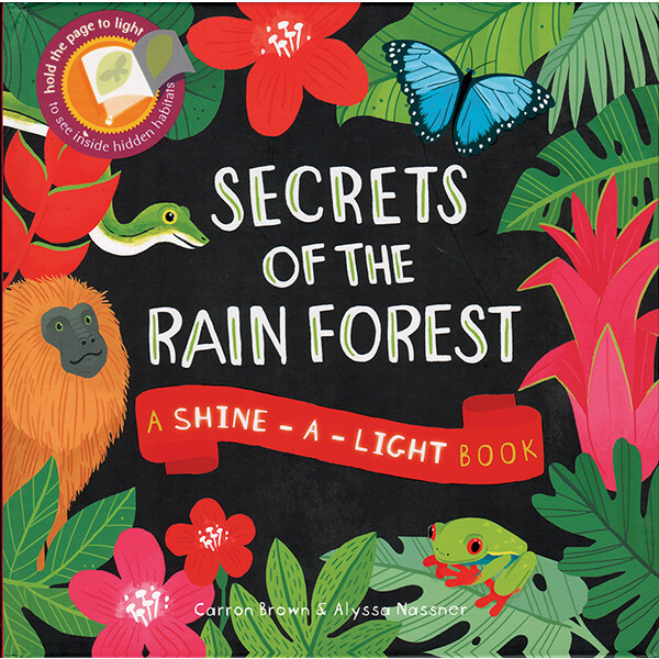 Shine-A-Light Secrets Books Bundle