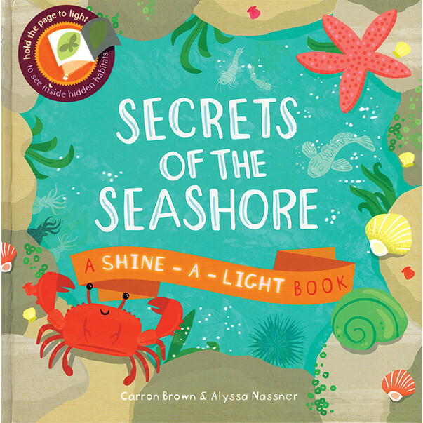 Shine-A-Light Secrets Books Bundle - Books - 3