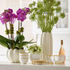 Mirabelle Tall Vase, Cream - Accents - 2