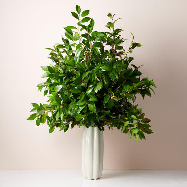Mirabelle Tall Vase, Cream - Accents - 3