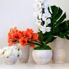 Amelie Small Cachepot, White and Gold - Accents - 2