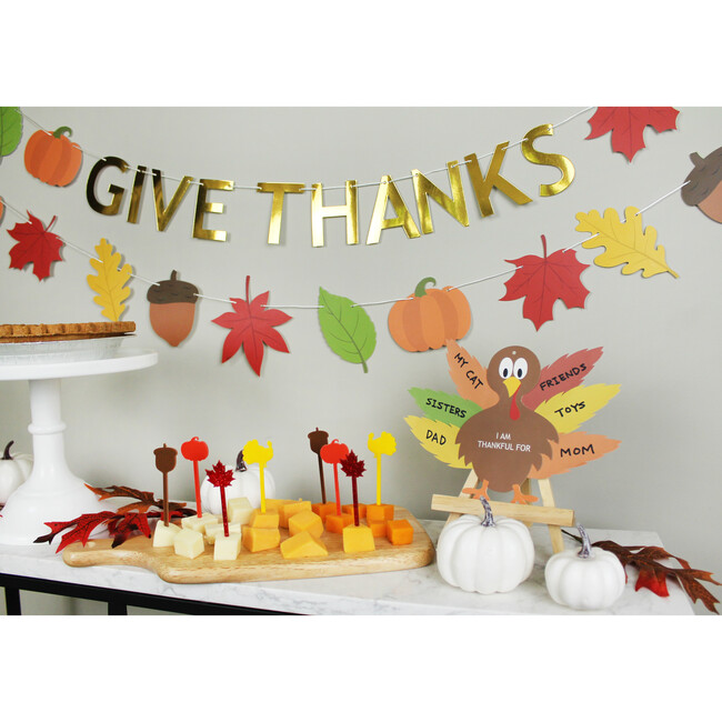 Thanksgiving Acrylic Food Picks, Set of 4